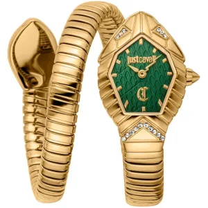 Just Cavalli JC1L356M0035