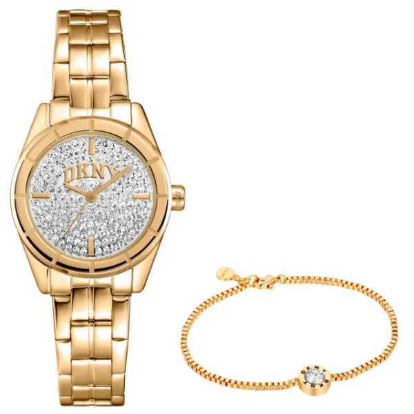DKNY DK1L169M0225_SET
