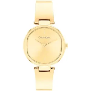 Calvin klein 25200309